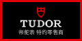 Tudor plaque