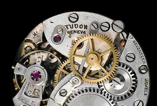Tudor Brand Mosaic 2