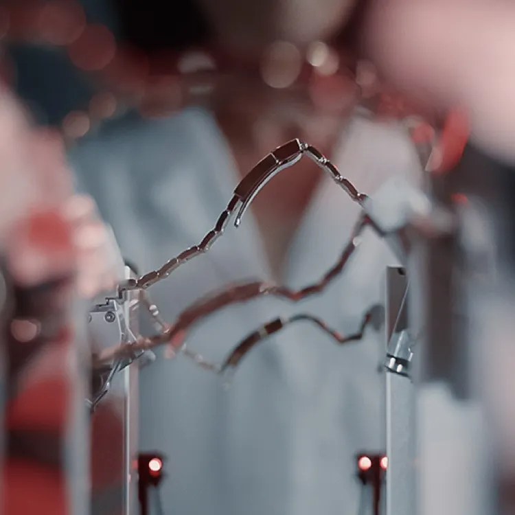 rolex watchmaking innovation in motion portrait
