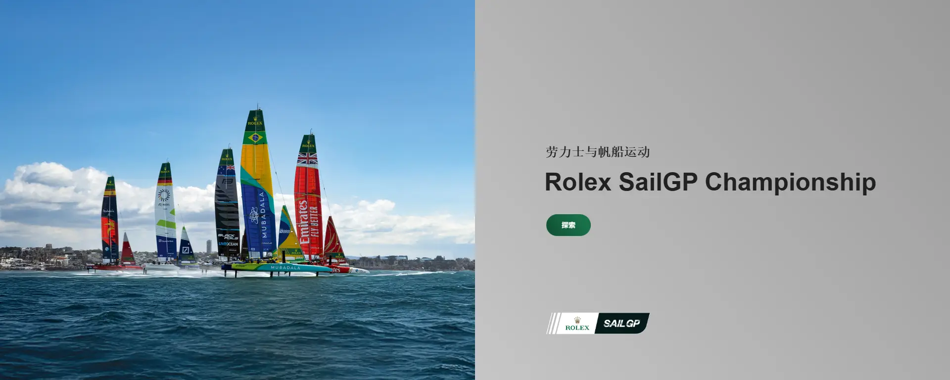 Rolex Watches